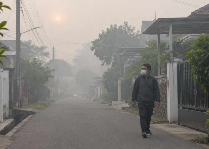 Waspada! Udara Kabur Kembali Selimuti Mayoritas Wilayah Sumsel Hari Ini, Cek Prakiraan BMKG