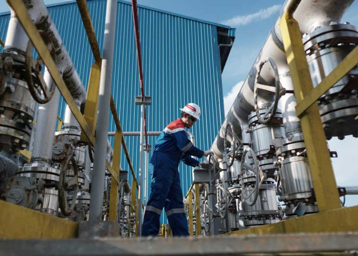 Pertamina EP Temukan Sumur Minyak Baru di Adera Field, Potensi Tembus 3.442 BOPD 