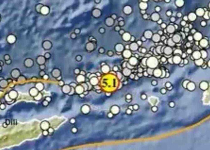 Gempa Magnitudo 5,1 Guncang Maluku Barat Daya Pagi Ini, Tak Berpotensi Tsunami