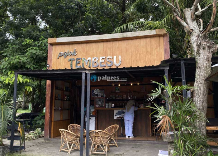 Vibes Hutan Tengah Kota: Alasan Pojok Tembesu Jadi Titik Temu Favorit Anak Muda Palembang