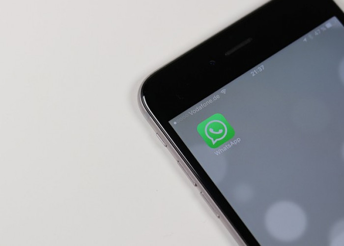 Gak Bisa Kirim Video di WhatsApp, Ini Cara Mengatasinya