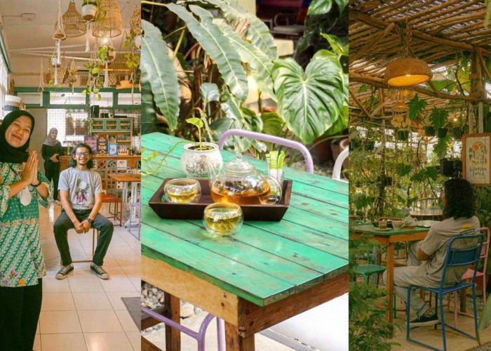Kedai Teh Vintage di Palembang Ini Bisa Beli Tanaman Hias Sekaligus 'Ngeteh' Cantik