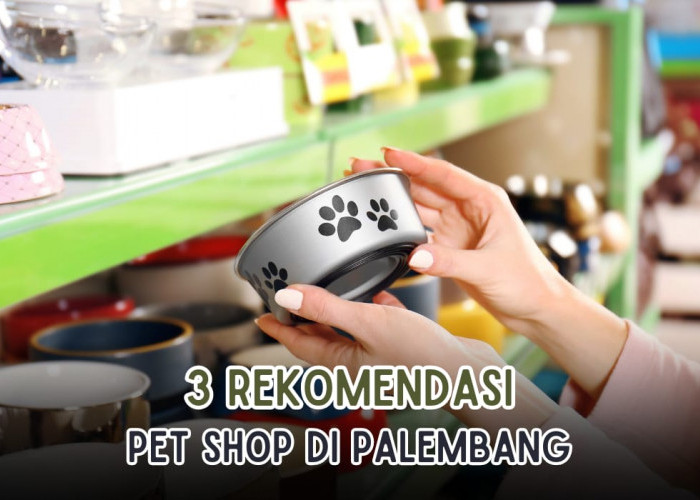 3 Pet Shop Terlengkap yang Ada di Palembang, Harga Gak Akan Nguras Kantong Lho!