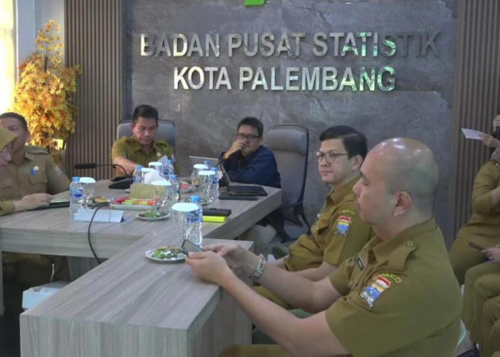 Diskon Tarif Listrik Dorong Deflasi di Palembang, BPS Catat Penurunan Harga yang Signifikan