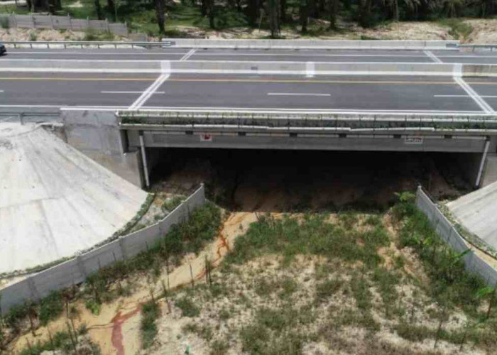 Terapkan Konsep Ini, HK Wujudkan JTTS Jadi Tol Hijau dan Ramah Lingkungan 