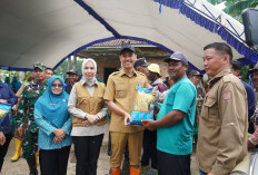 Bupati OKI Salurkan 142 Ribu Kg Benih Padi untuk Pulihkan Sawah Terdampak Banjir