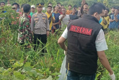 TERUNGKAP! Ternyata Ini Motif Pria di Pemulutan Nekat Habisi Nyawa Teman Akrab di Kebun Nanas Lembak