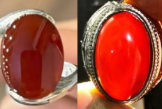 MISTERI TERSEMBUNYI! Terkuak 9 Batu Bertuah Jejak Karomah Para Wali Songo