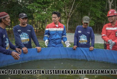 Industri Tetap Green! Intip Langkah Keren Kilang Plaju Lestarikan Rusa Sambar hingga Ikan Belida