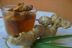 AMPUH! Inilah 5 Ramuan Herbal untuk Mengatasi Asam Lambung