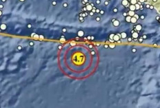Gempa Magnitudo 4,7 Guncang Sumba Barat Daya, Tak Berpotensi Tsunami