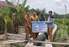 Desa Sirah Pulau Lahat Kini Terang Benderang! 10 Unit Lampu Tenaga Surya Resmi Terpasang di Dusun