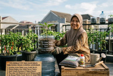Jangan Dibuang Dulu! Ini Cara Sulap Galon Bekas Jadi Pot Bunga Unik dan Cantik Hemat Biaya