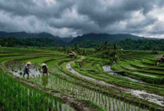 Hari Kedua Lebaran 2026, Cuaca Sumsel Kurang Bersahabat? Ini Prediksi Lengkap dari BMKG