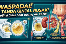 Kerap Diabaikan! 4 Perubahan pada Air Kencing Ini Jadi Sinyal Awal Ginjal Anda Sedang Mengalami Kerusakan