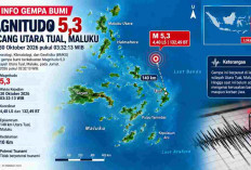 Gempa M 5,3 Guncang Utara Tual Maluku Dini Hari, Cek Episentrum dan Kedalamannya