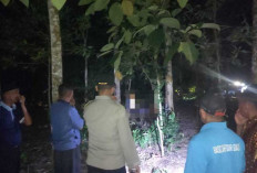 Jangan Sebar Hoaks! Ini Imbauan Tegas Polda Sumsel Terkait Penemuan Mayat Pasutri di Banyuasin