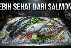 Kandungan Omega-3 Kalahkan Salmon! Ini 6 Ikan Lokal Murah Meriah di Pasar yang Bikin Otak Cerdas