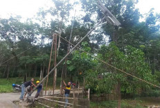Dulu Gelap Gulita, Kini Warga Desa Ulak Lebar Lahat Tak Lagi Takut Keluar Malam
