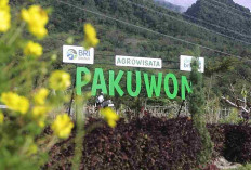 Lewat Desa BRILiaN, Desa Pajambon Kuningan Sukses Kembangkan Ekonomi Berbasis Potensi Lokal