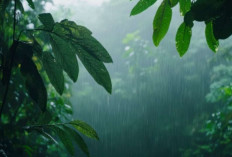 Prakiraan Cuaca BMKG 17 Januari 2026, Hujan Ringan Mendominasi Sumsel, Banyuasin Berawan