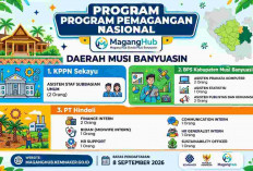 Peluang Emas Pemuda Muba! MagangHub Buka Formasi di KPPN, BPS dan PT Hindoli