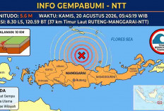 Puluhan Gempa Guncang Ruteng NTT, Magnitudo 5,6 Jadi yang Terkuat Pagi Ini