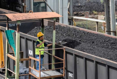 PTBA Cetak Pertumbuhan Operasional, Produksi dan Penjualan Meningkat di Tengah Dinamika Harga Global 2025