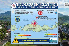 Gempa M3,6 Guncang Ruteng NTT Pagi Ini, BMKG Ungkap Lokasi dan Kedalamannya