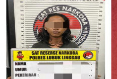 Perang Melawan Narkoba, Polres Lubuklinggau Amankan Pengedar di Senalang