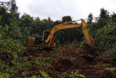 PT RHM Bangun 'Benteng Raksasa' 890 Meter Tahan Karhutla Muba, Api Auto Mati Kutu!