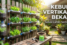 Solusi Cerdas Lahan Sempit: 5 Langkah Mudah Bikin Kebun Vertikal Estetik dari Botol dan Galon Bekas