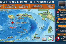 Gempa Magnitudo 4,0 Guncang Maluku Tenggara Barat Pagi Ini, Tak Berpotensi Tsunami