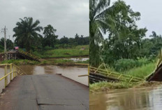 Akses Putus Total! Jembatan di Ogan Ilir Ambruk Dihantam 'Lautan' Eceng Gondok