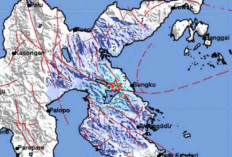 Gempa Magnitudo 4,7 Guncang Morowali Pagi Ini, Tak Berpotensi Tsunami