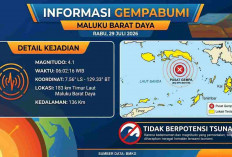 Gempa Magnitudo 4,1 Guncang Maluku Barat Daya Pagi Ini, BMKG Ungkap Lokasinya