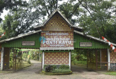 Liburan Hemat! Ini 3 Wahana Seru di Punti Kayu, Ada Perahu Naga hingga Flying Fox