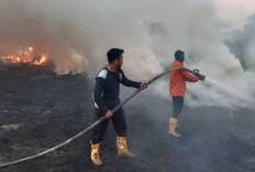 Karhutla Nyaris Merambat ke Gardu PLN, Tiga Hektar Semak Belukar di Muba Hangus Terbakar