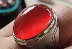 Pesona Batu Akik Red Raflesia Bengkulu, Primadona Merah yang Tak Pernah Pudar