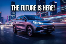 Siap Guncang Pasar City Car Listrik, Varian Tertinggi BYD Atto 1 Tawarkan Kemewahan Kabin di Luar Ekspektasi