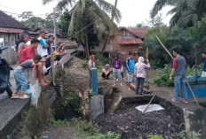 Waspada Bibit Penyakit! Aksi Kompak Warga Sirah Pulau Bersihkan Aliran Irigasi Sawah dari Sampah