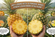 Rahasia Pedagang Terbongkar: Intip Bentuk Lubang di Pangkal Nanas yang Jadi Penentu Rasa Manis atau Asam Sepat