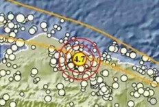 Gempa Magnitudo 4,7 Guncang Sarmi Papua Pagi Ini, Tak Berpotensi Tsunami