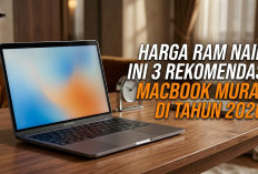 Ingin Punya MacBook tapi Budget Terbatas? Ini 3 Rekomendasi Seri Paling Murah di 2026