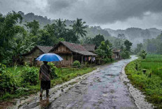 Prakiraan Cuaca Sumsel Hari Ini: OKU Hujan Petir, Banyuasin dan OKUS Berawan