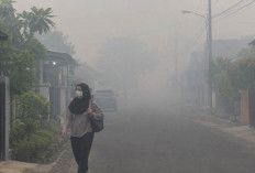 Prakiraan Cuaca Sumsel 13 Oktober 2026: Udara Kabur Mendominasi, Hujan Hanya di Muratara  