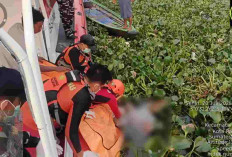 Korban Jatuh dari Jukung Ditemukan Tewas, Tersangkut Eceng Gondok Dekat Jembatan Musi VI