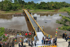 Kabar Gembira untuk Warga OKI! 4 Jembatan Baru Resmi Tersambung, Akses Desa Terisolasi Kini Terbuka Lebar