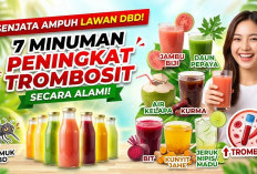 Senjata Ampuh Lawan DBD! Ini 7 Minuman yang Bisa Meningkatkan Kadar Trombosit Dalam Darah Secara Alami