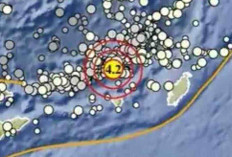 Gempa Magnitudo 4.2 Guncang Maluku Tenggara Barat, Cek Titik Episentrum dan Kedalamannya di Sini